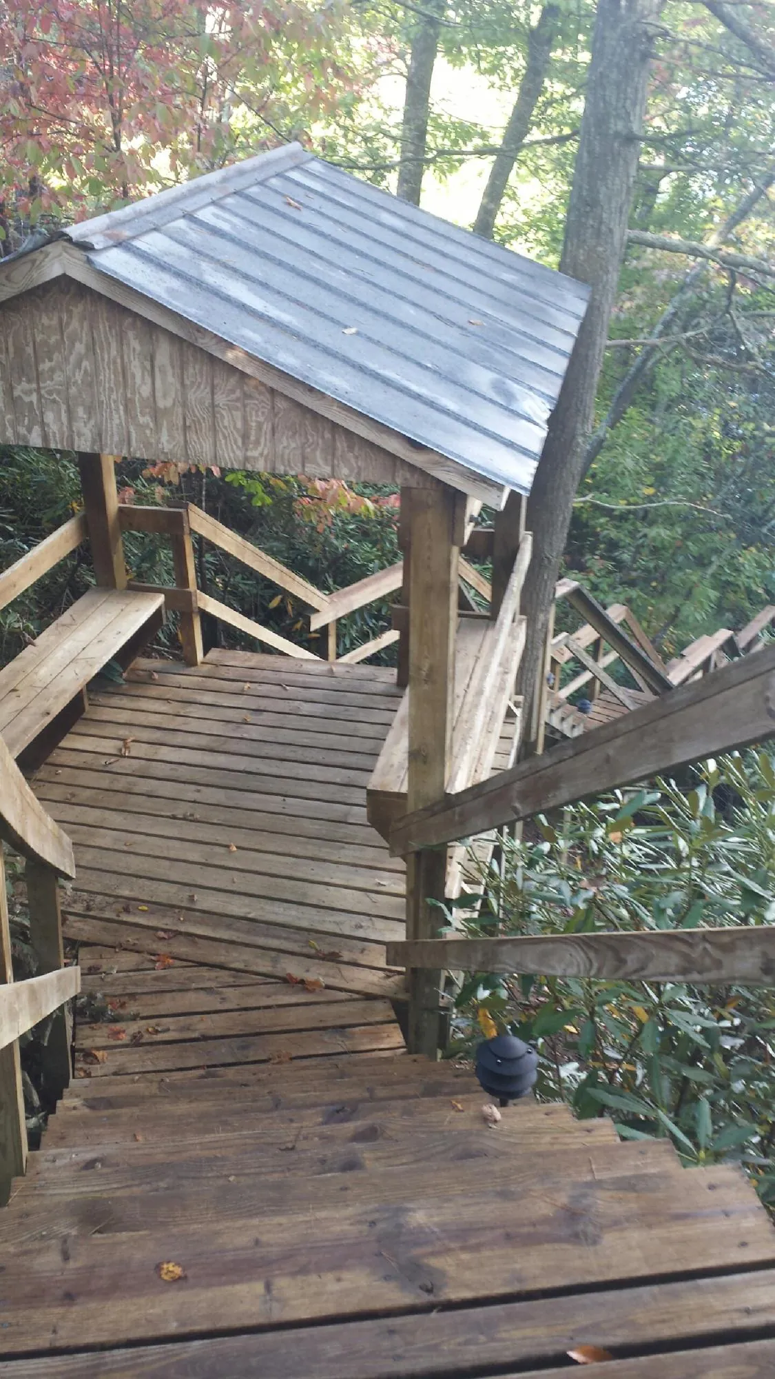 Metal roofed shelter over wooden steps on a wooded walkway — Skylight Repair & Installation work by our crew in Arcola