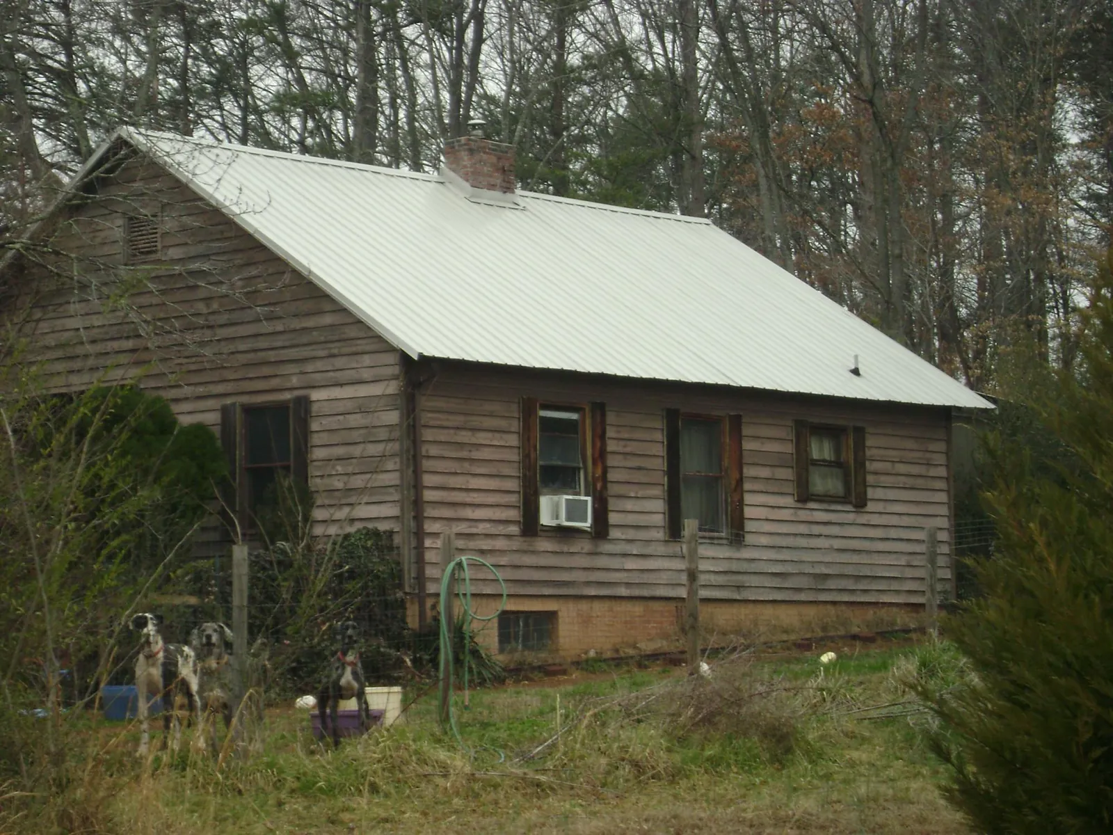 White metal roof on an old wood sided farmhouse, from a Asphalt Shingle Roof Repair job in Arcola